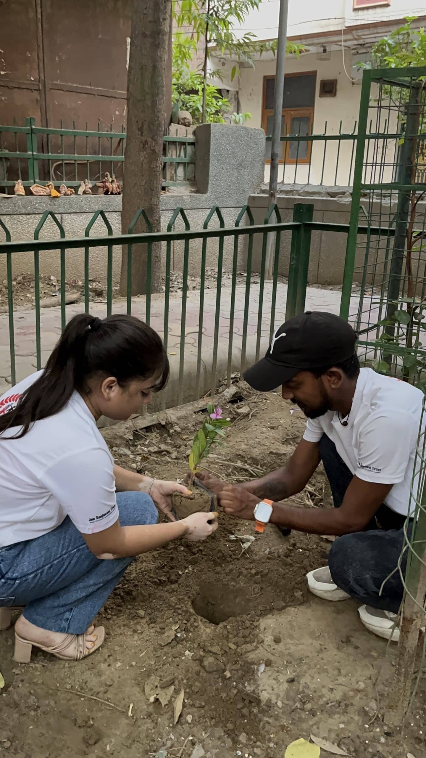 Image Showing Saplings Being Planted